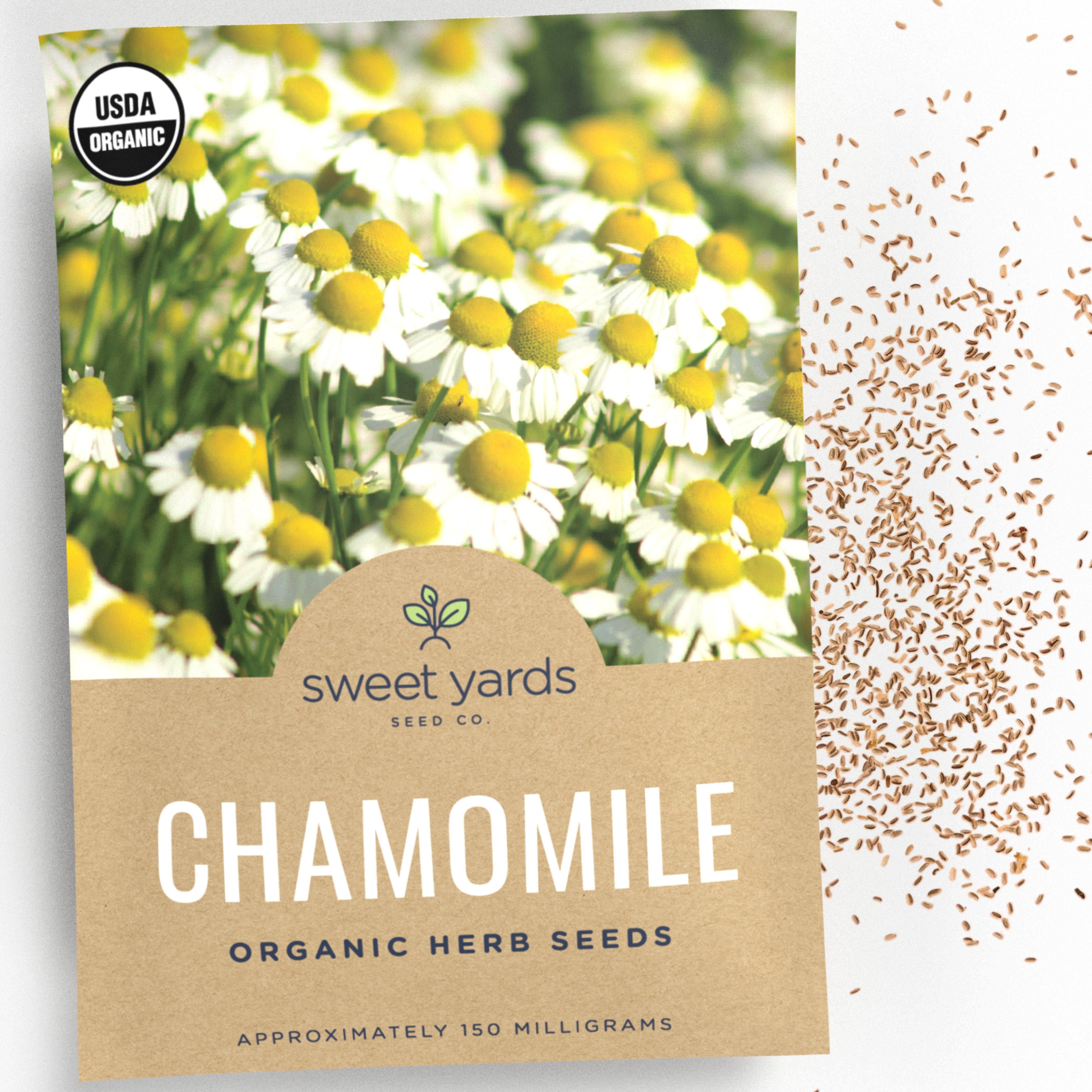 Organic Chamomile Seeds – Sweet Yards