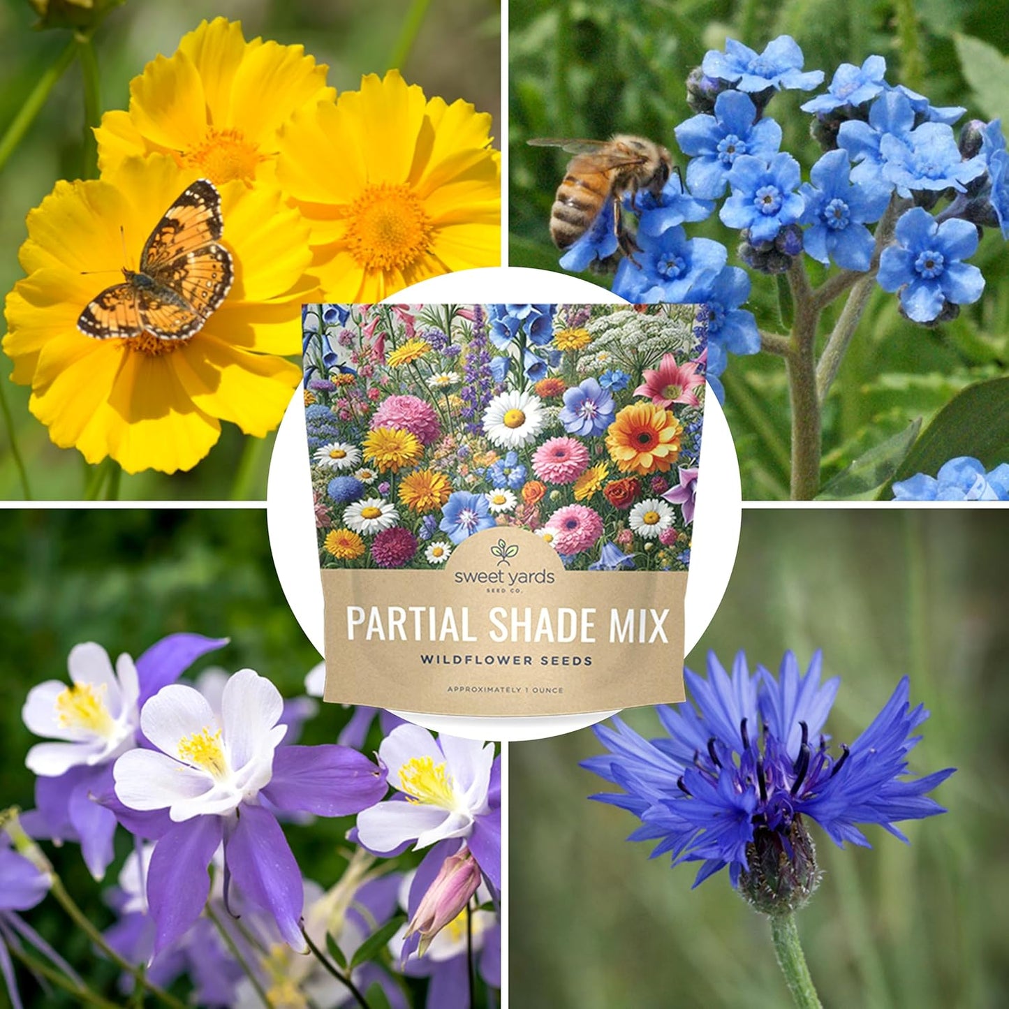 Wildflower Seeds Partial Shade Mix