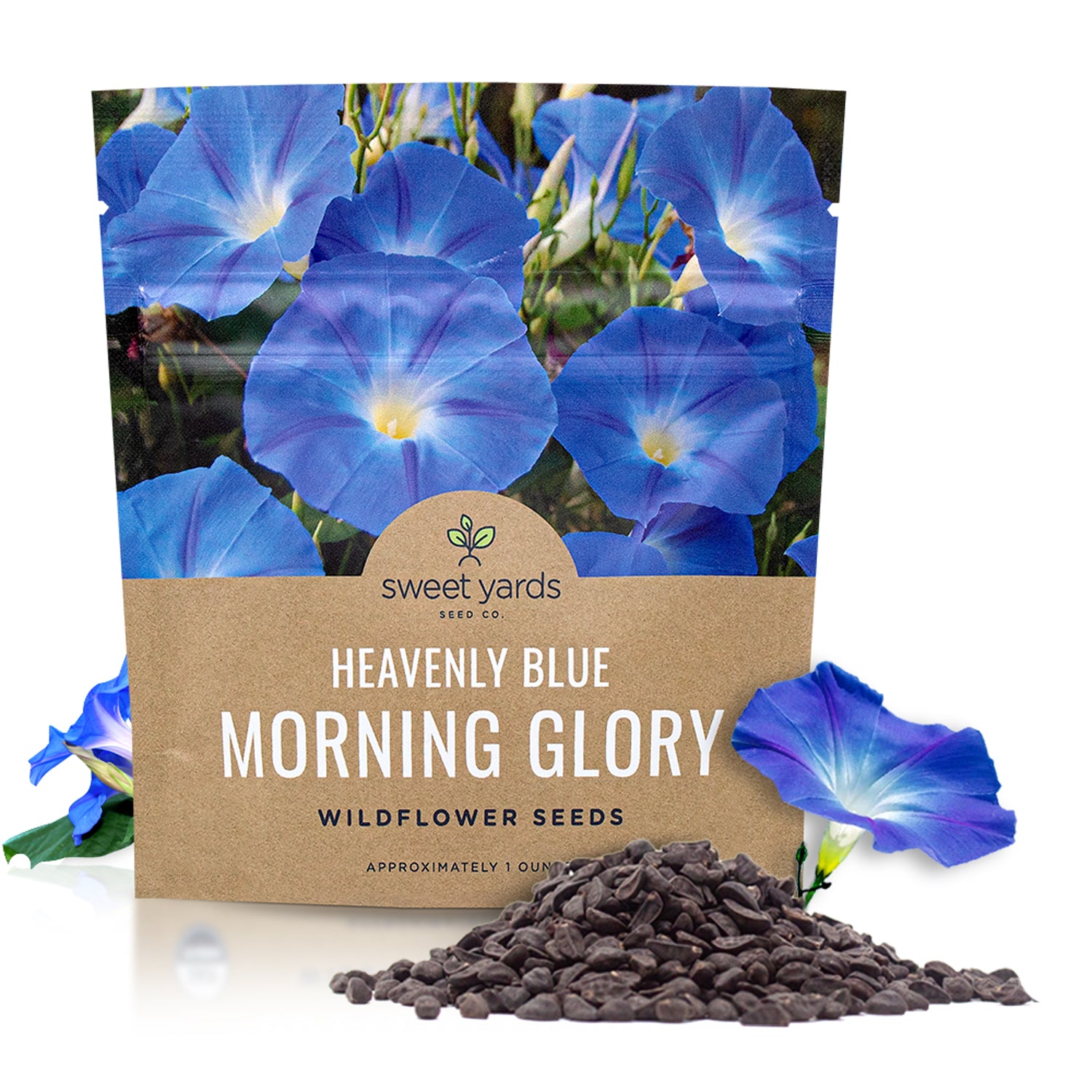 Morning Glory Heavenly Blue – Sweet Yards