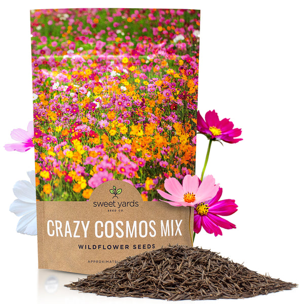 MY COSMOS II 3 & 4 セット IVY Cosmos Mixed Colors Blend – Sweet Yards