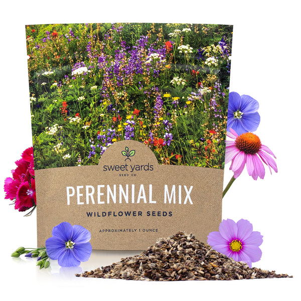 Perennial Wildflower Seeds Mixture – Sweet Yards