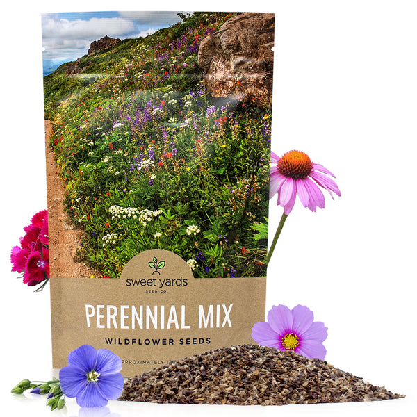 Perennial Wildflower Seeds Mixture – Sweet Yards
