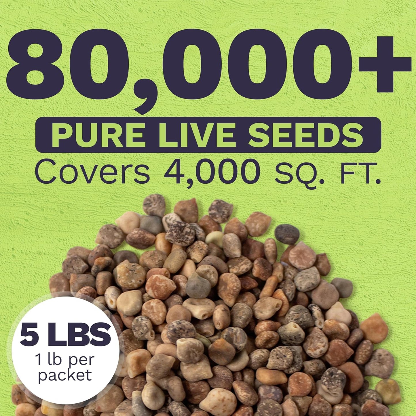 Texas Bluebonnet Wildflower Seed Mix