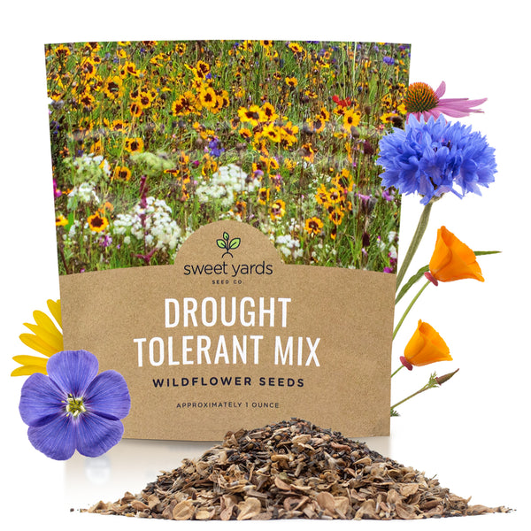 Drought Tolerant Wildflower Mix – Sweet Yards