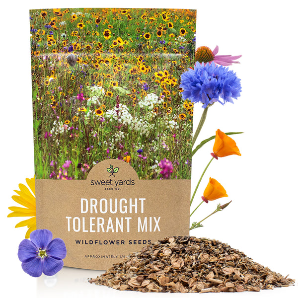 Drought Tolerant Wildflower Mix – Sweet Yards