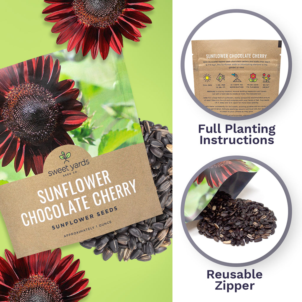 Chocolate Cherry Sunflower
