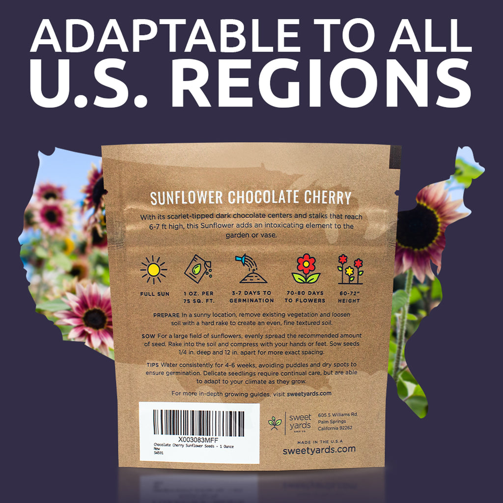 Chocolate Cherry Sunflower