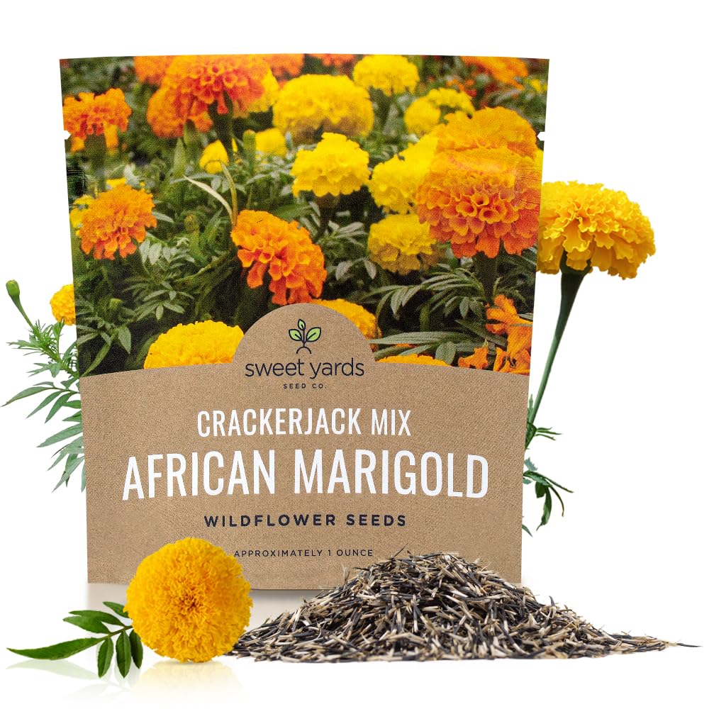 african marigold seed to flower African Marigold Crackerjack Seed Mix