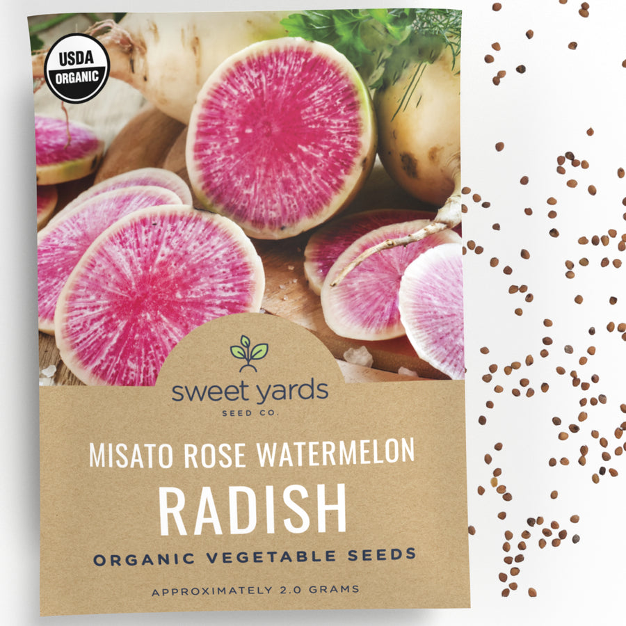 Organic Misato Rose Watermelon Radish