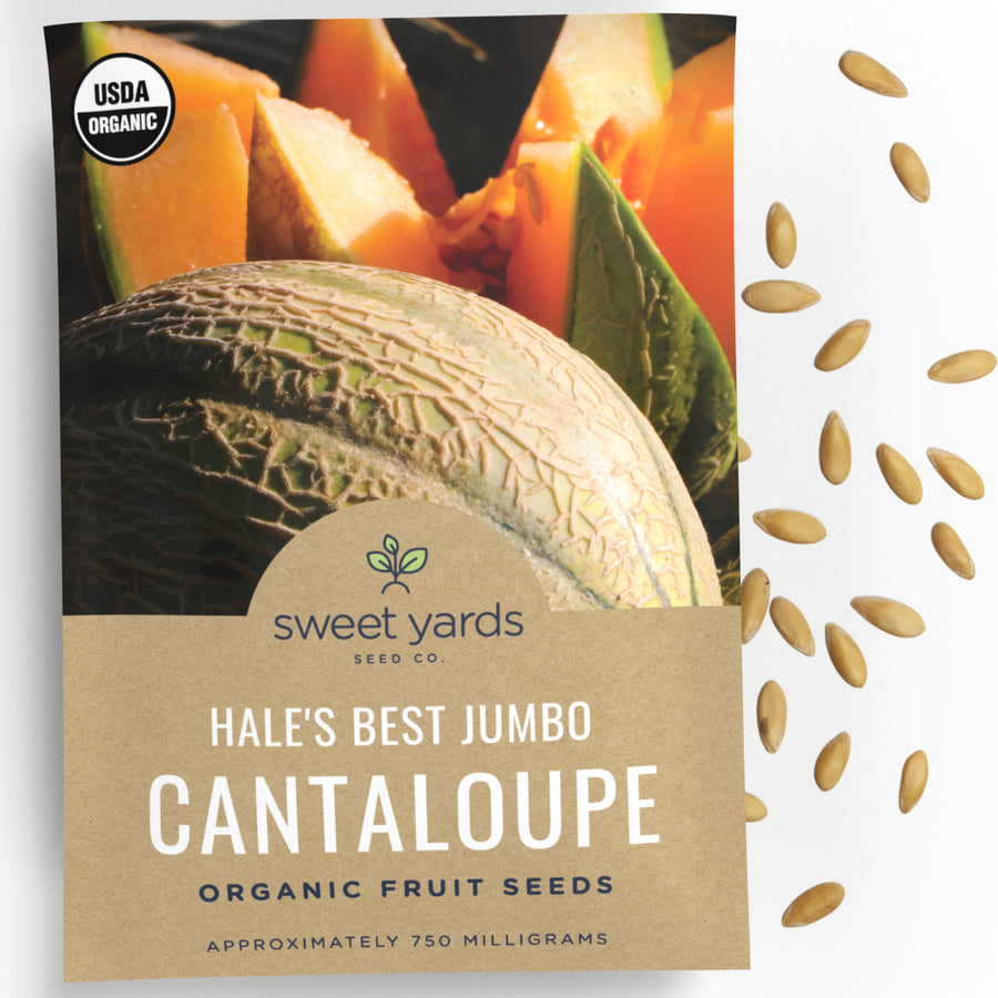 Organic Hale's Best Jumbo Cantaloupe