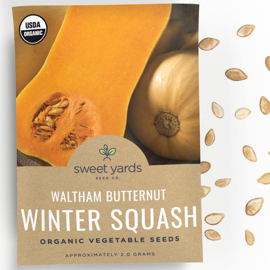 Organic Waltham Butternut Squash