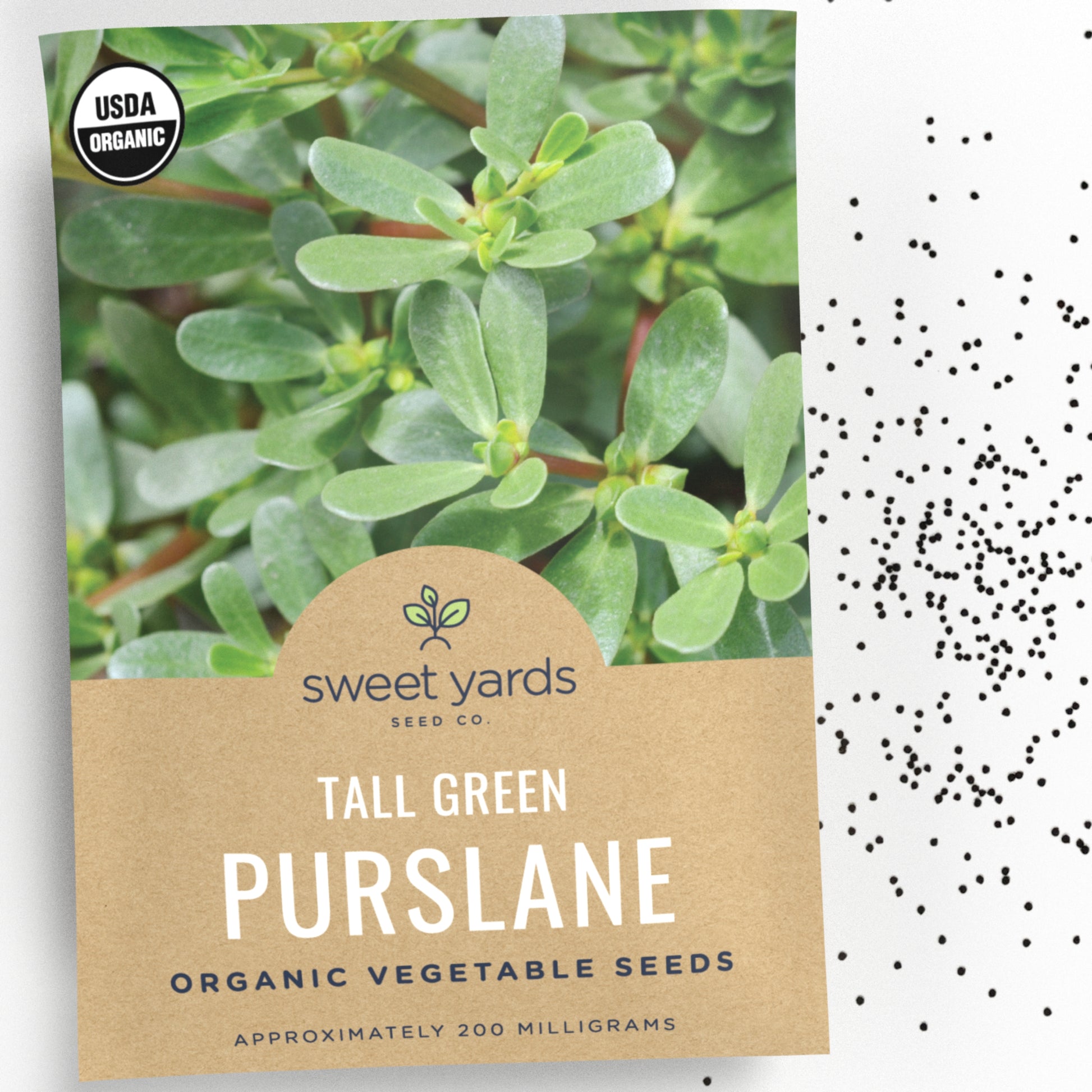 purslane flower seeds Organic Tall Green Purslane
