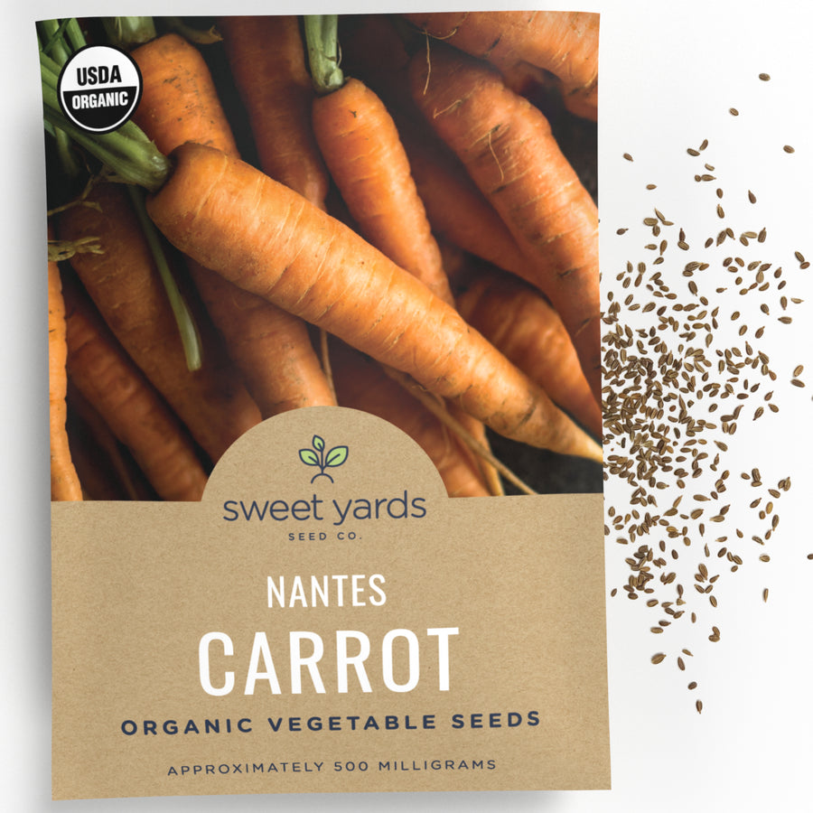 Organic Nantes Carrot