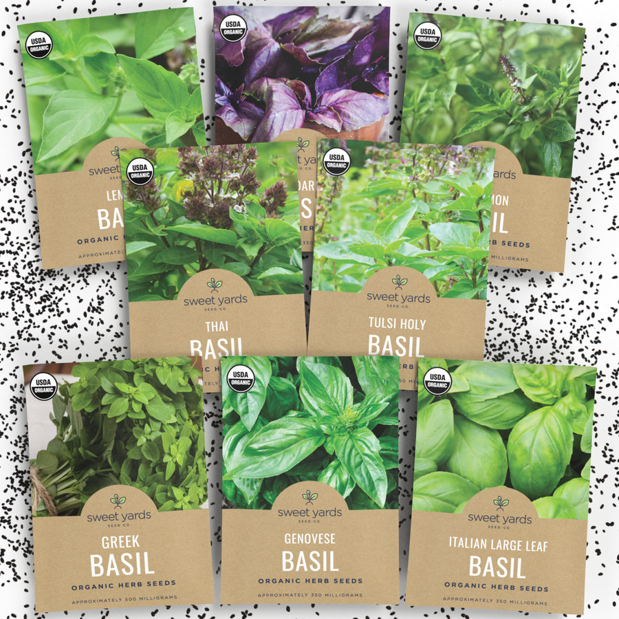 Organic Basil Seeds Variety Pack - 8 Packets