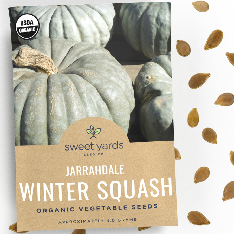 Organic Jarrahdale Winter Squash