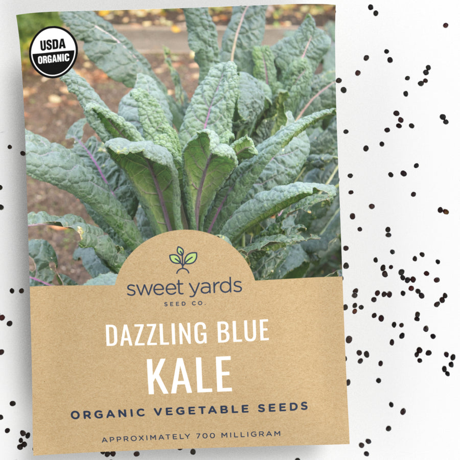 Organic Dazzling Blue Kale Seeds