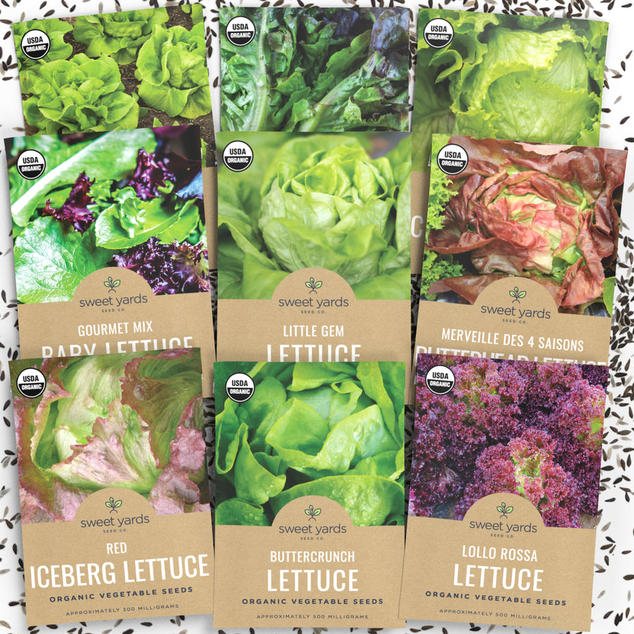 Organic Lettuce Lovers' Heirloom Seeds Variety - 9 Packets