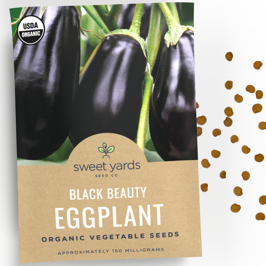 Organic Black Beauty Eggplant