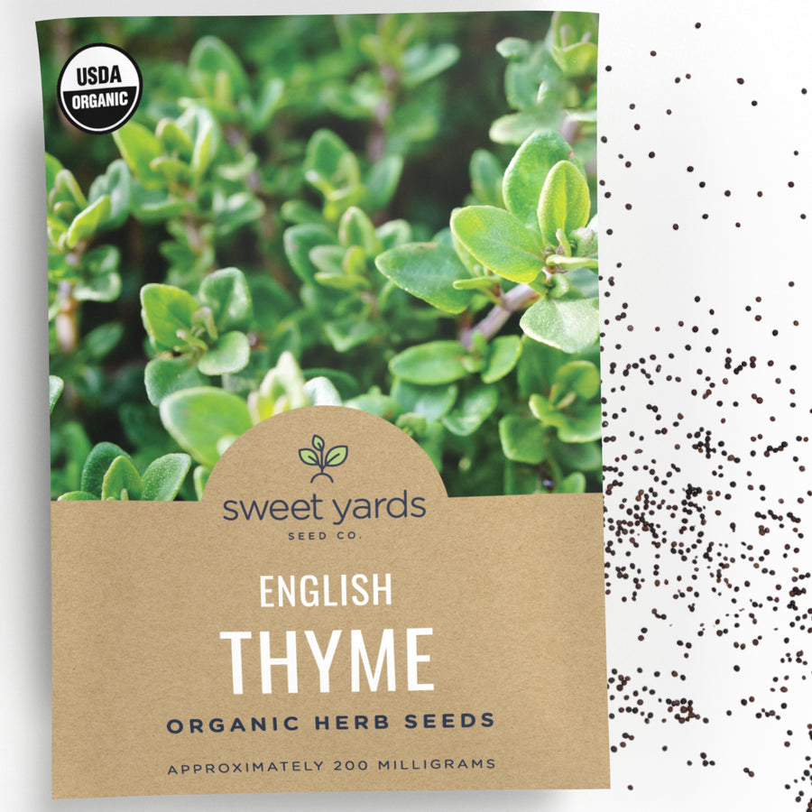 Organic English Thyme