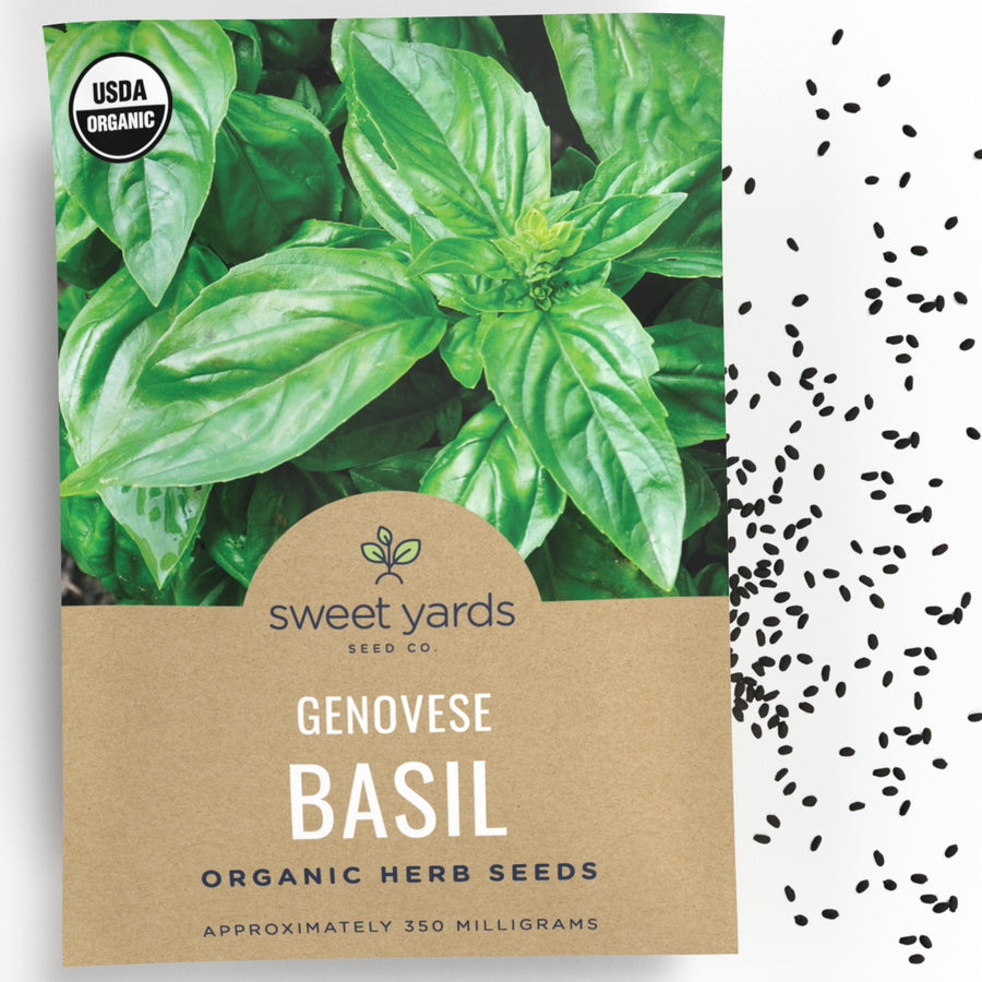 Organic Genovese Basil