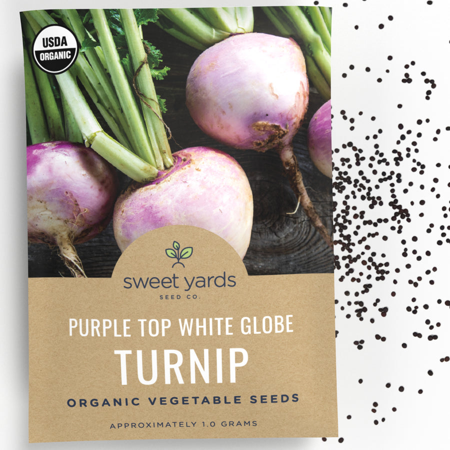 Organic Purple Top White Globe Turnip