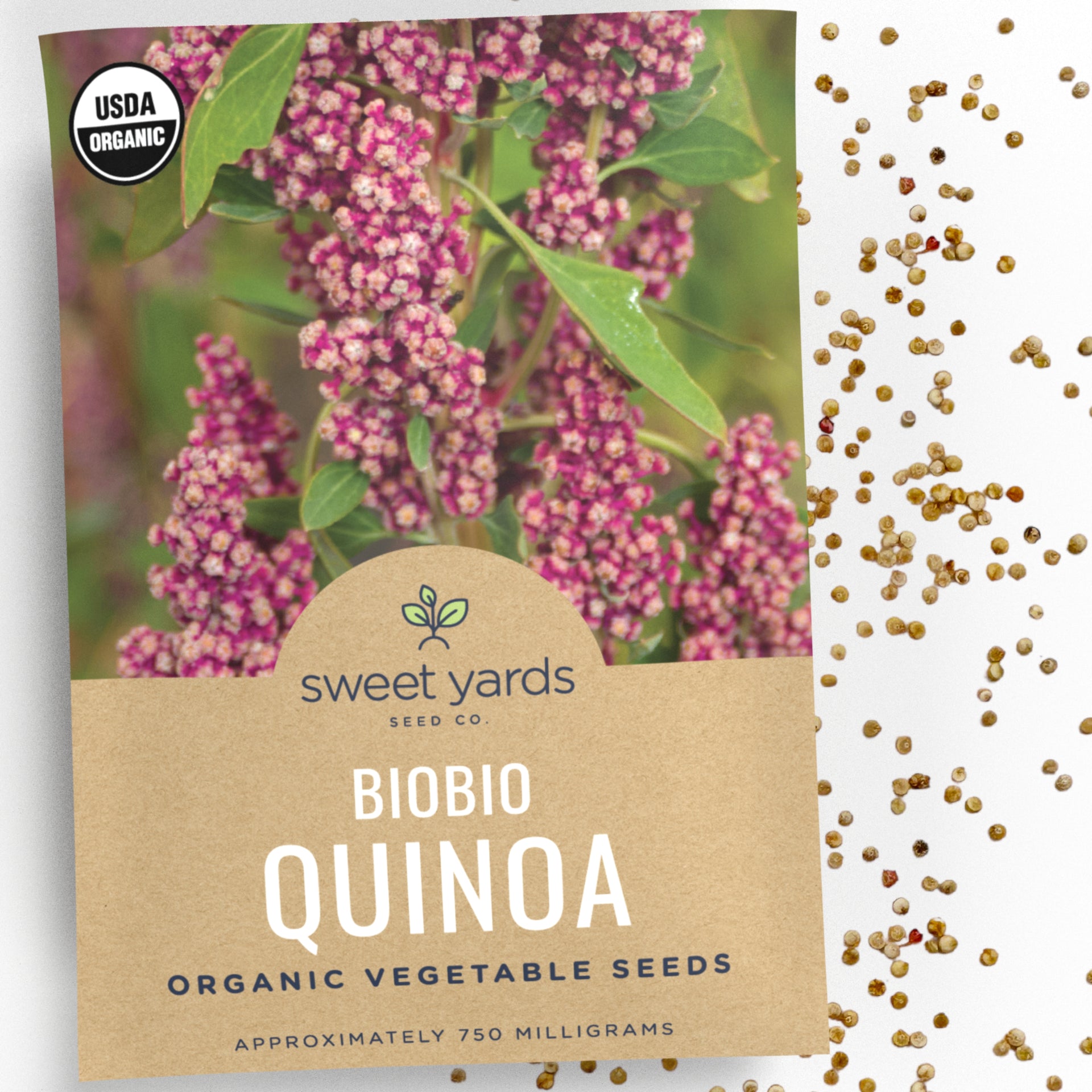organic quinoa seeds for planting Organic Biobio Quinoa Seeds – Sweet Yards