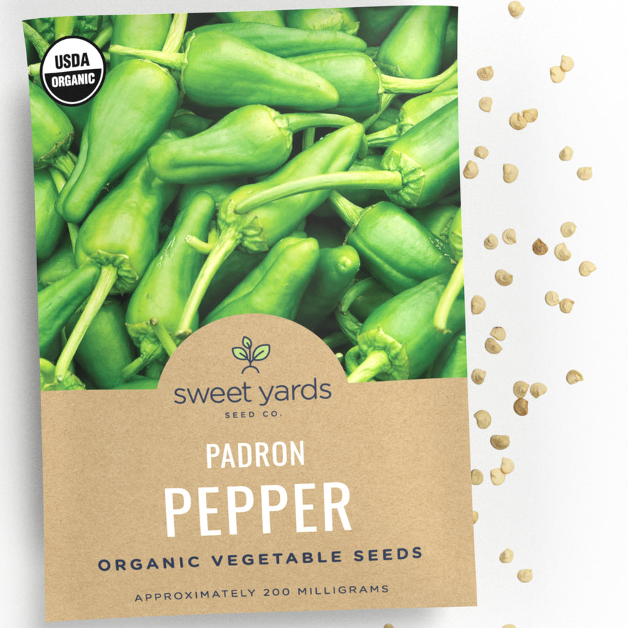 Organic Padron Pepper Seeds