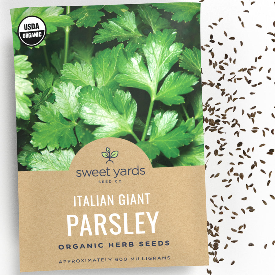 Organic Italian Giant Parsley