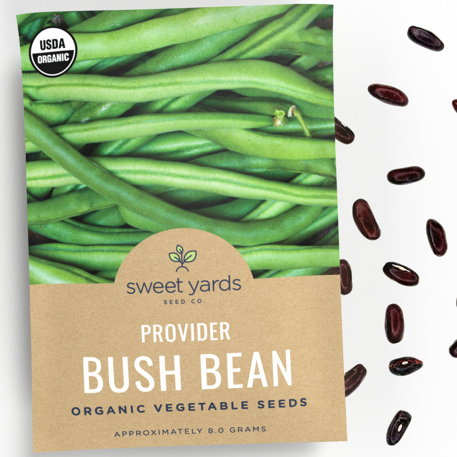 Organic Provider Bush Bean