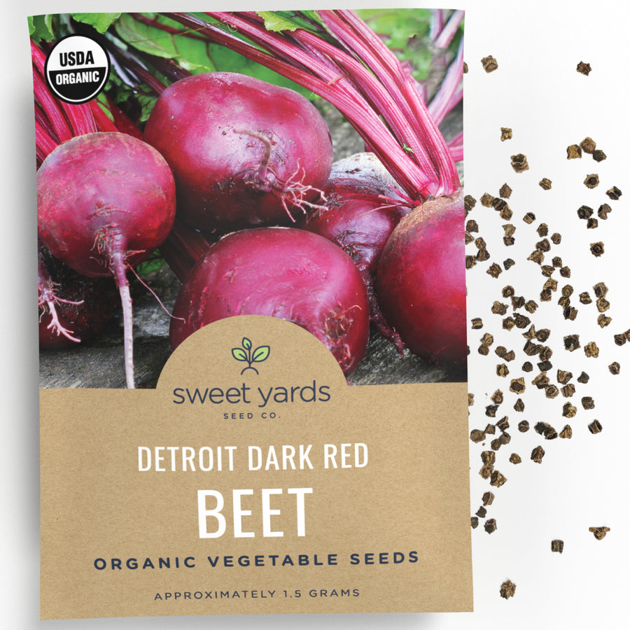 Organic Detroit Dark Red Beet