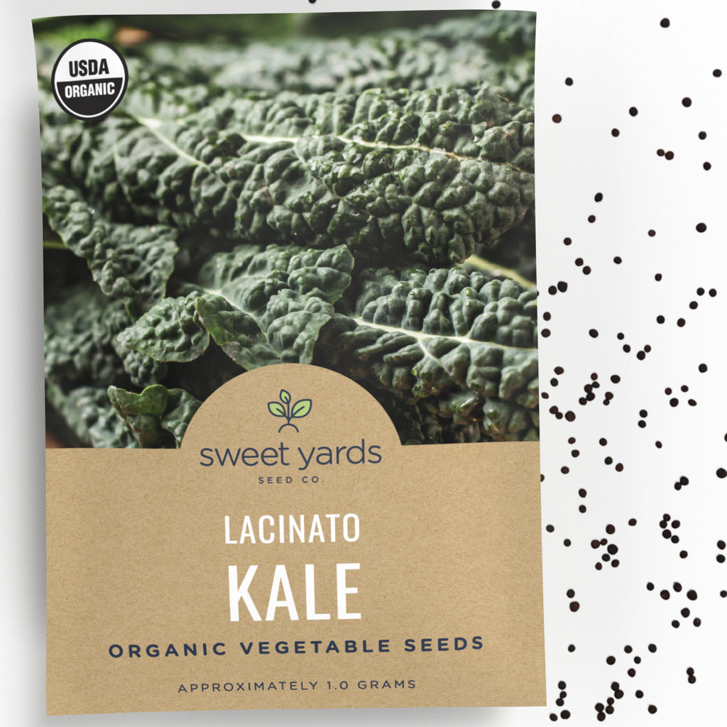 Organic Lacinato Kale