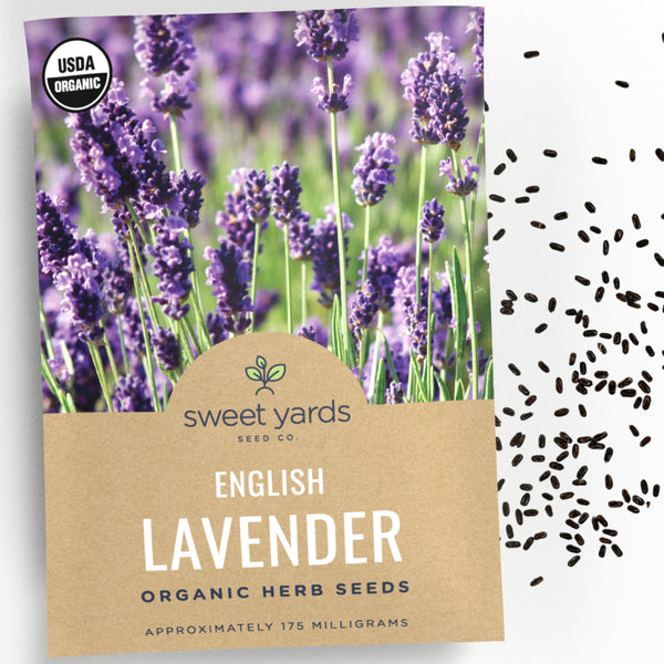 Organic Vera Lavender Seeds – Sweet Yards