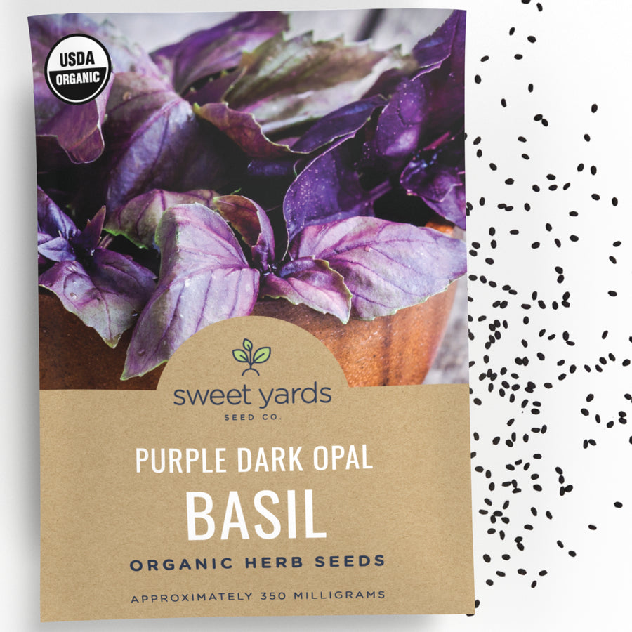 Organic Purple Dark Opal Basil