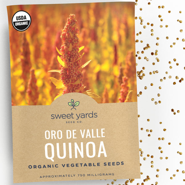 organic quinoa seeds for planting Organic Oro De Valle Quinoa Seeds – Sweet Yards