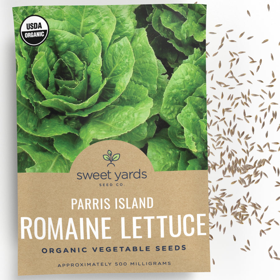 Organic Parris Island Romaine Lettuce