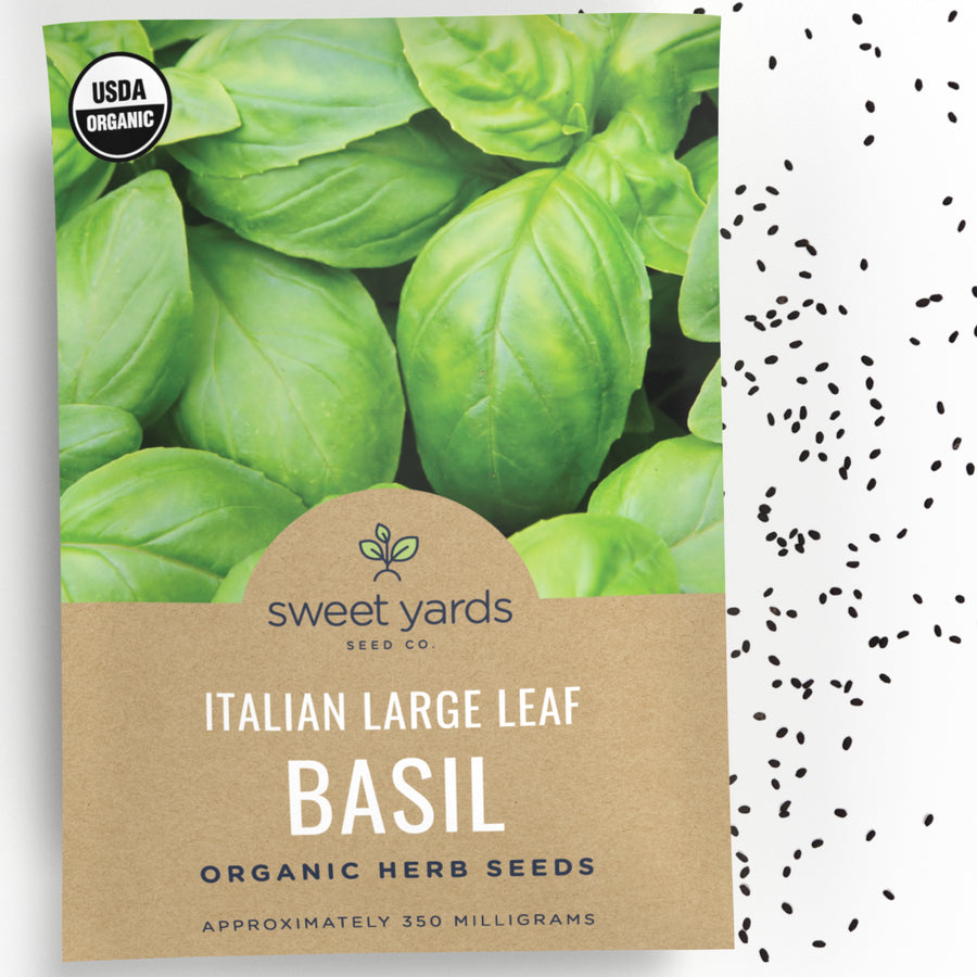 Organic Italian Large Leaf Basil