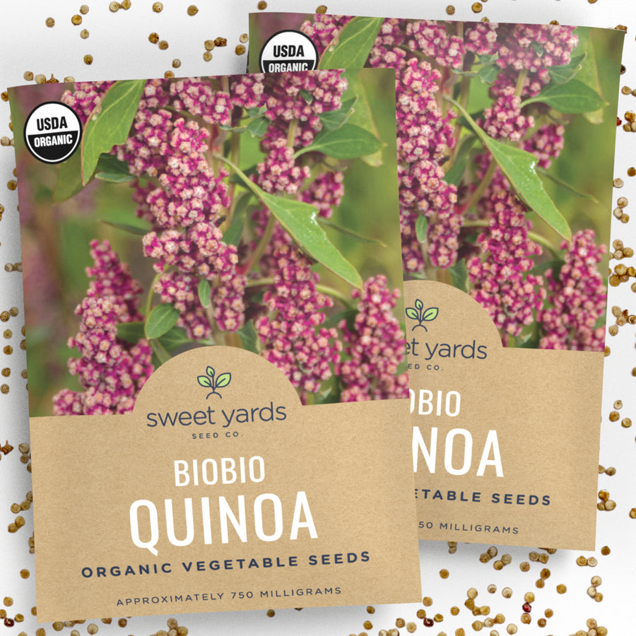 Organic Biobio Quinoa Seeds