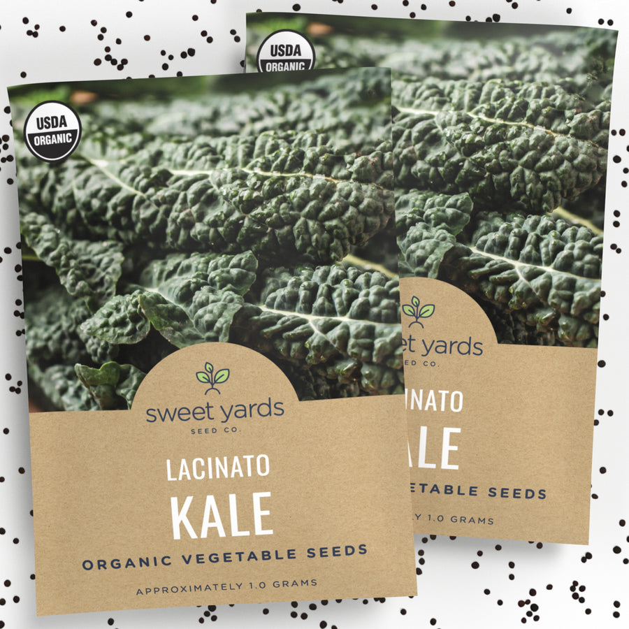 Organic Lacinato Kale