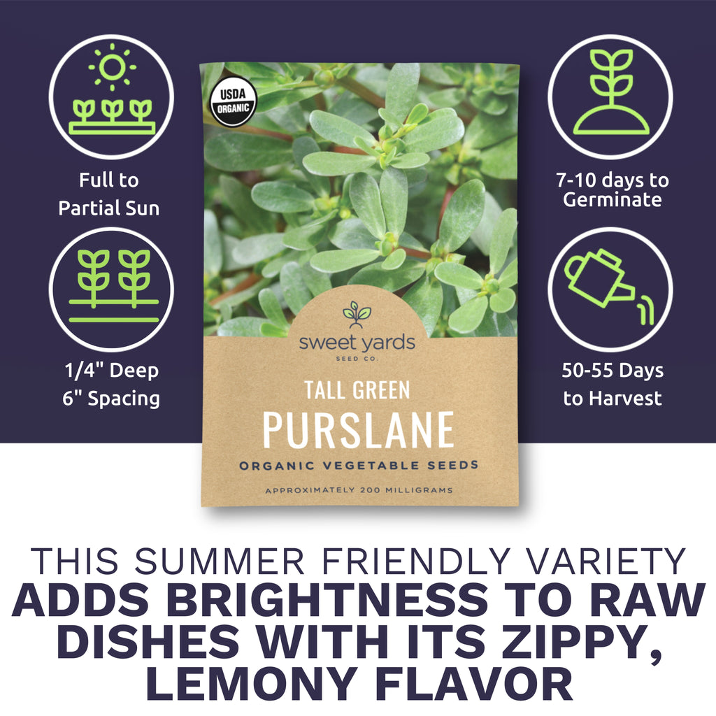 Organic Tall Green Purslane