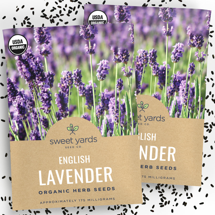 Organic English Lavender