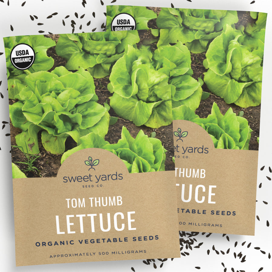 Organic Tom Thumb Lettuce