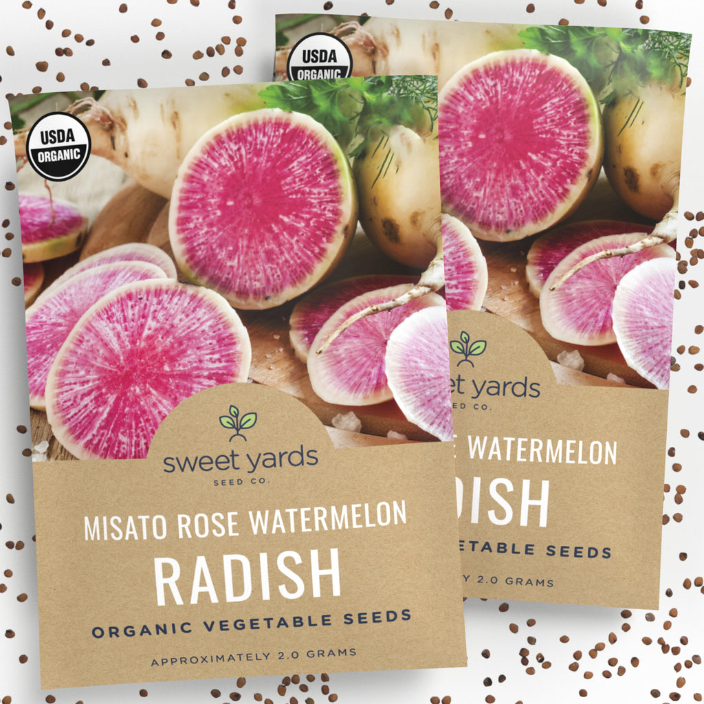 Organic Misato Rose Watermelon Radish