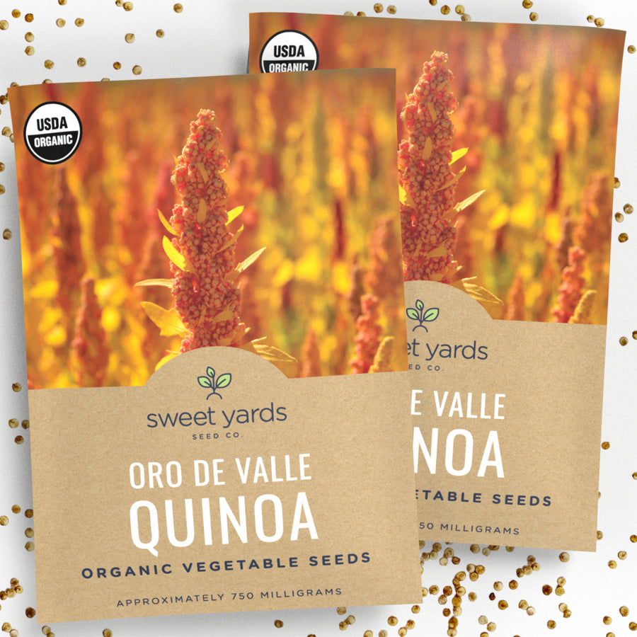 Organic Oro De Valle Quinoa Seeds