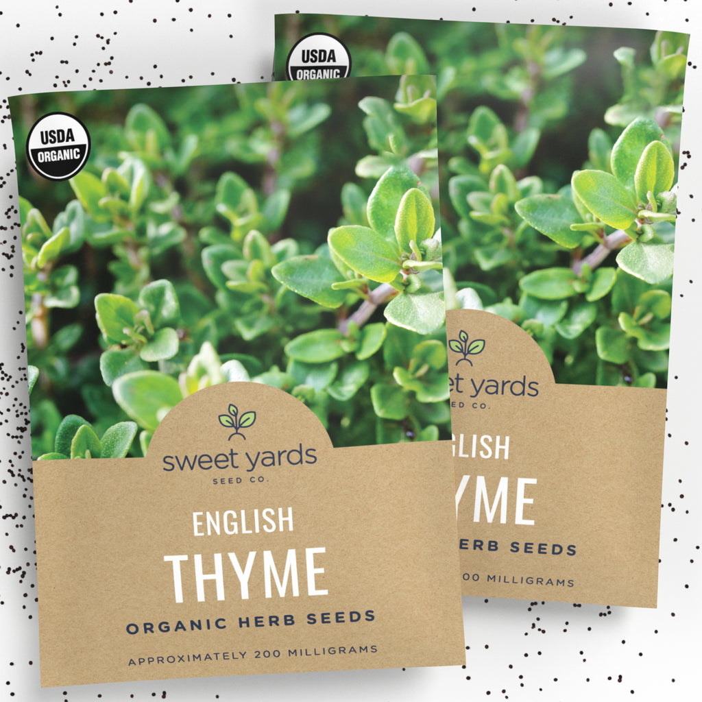 Organic English Thyme