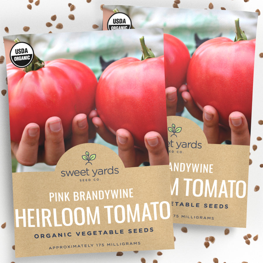 Pink Brandywine Tomato Seeds