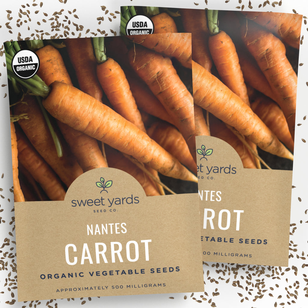 Organic Nantes Carrot