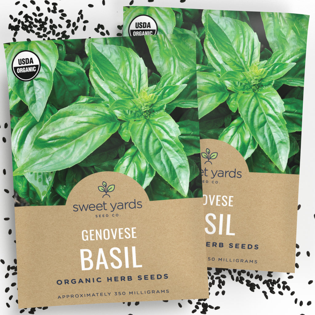 Organic Genovese Basil