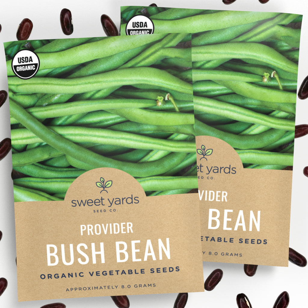 Organic Provider Bush Bean