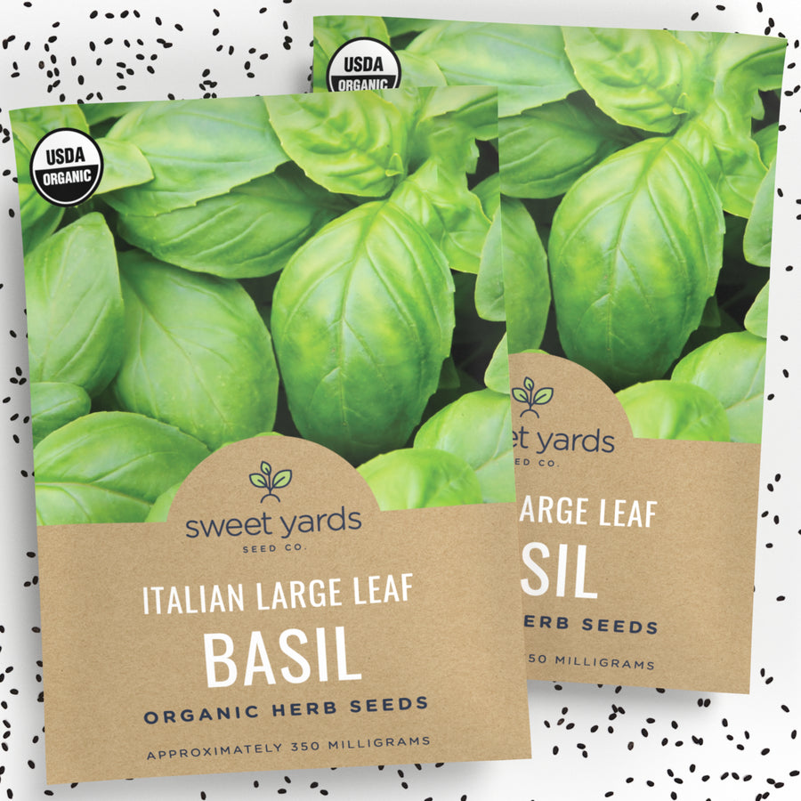 Organic Italian Large Leaf Basil