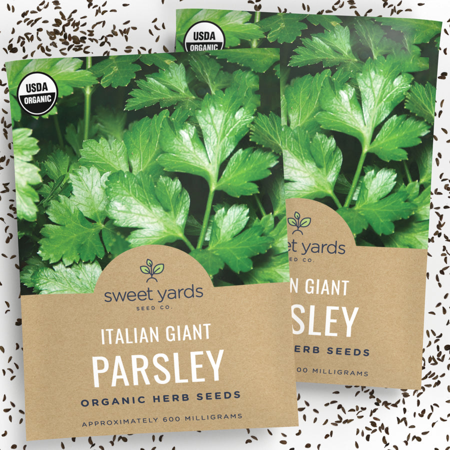 Organic Italian Giant Parsley